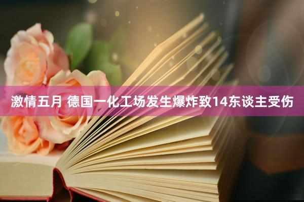 激情五月 德国一化工场发生爆炸致14东谈主受伤