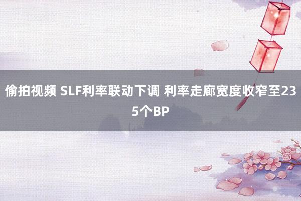 偷拍视频 SLF利率联动下调 利率走廊宽度收窄至235个BP