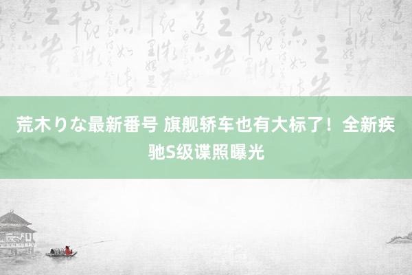 荒木りな最新番号 旗舰轿车也有大标了！全新疾驰S级谍照曝光