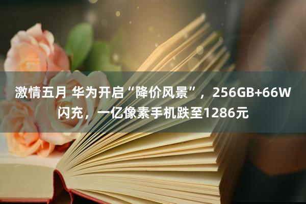 激情五月 华为开启“降价风景”，256GB+66W闪充，一亿像素手机跌至1286元