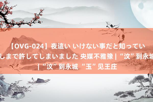 【OVG-024】夜這い いけない事だと知っていたけど生中出しまで許してしまいました 央媒不雅豫 | “汶”到永城 “玉”见王庄