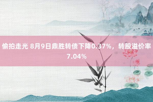 偷拍走光 8月9日鼎胜转债下降0.37%，转股溢价率7.04%