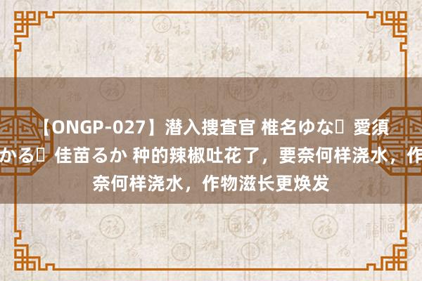 【ONGP-027】潜入捜査官 椎名ゆな・愛須心亜・紺野ひかる・佳苗るか 种的辣椒吐花了，要奈何样浇水，作物滋长更焕发