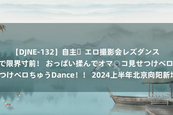 【DJNE-132】自主・エロ撮影会レズダンス 透け透けベビードールで限界寸前！ おっぱい揉んでオマ○コ見せつけベロちゅうDance！！ 2024上半年北京向阳新增4家上市企业