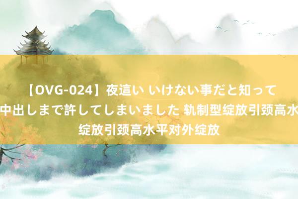 【OVG-024】夜這い いけない事だと知っていたけど生中出しまで許してしまいました 轨制型绽放引颈高水平对外绽放