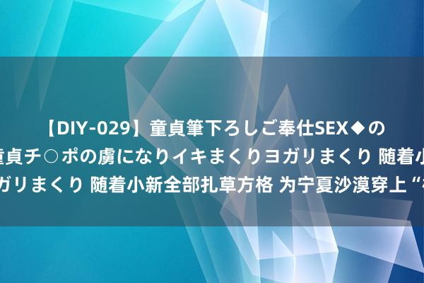 【DIY-029】童貞筆下ろしご奉仕SEX◆のはずが媚薬で一転！！童貞チ○ポの虜になりイキまくりヨガリまくり 随着小新全部扎草方格 为宁夏沙漠穿上“格子衫”