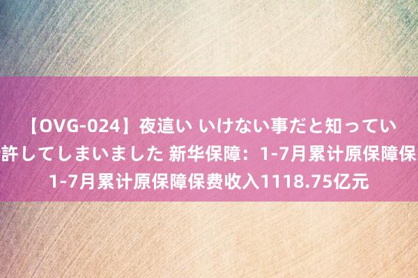 【OVG-024】夜這い いけない事だと知っていたけど生中出しまで許してしまいました 新华保障：1-7月累计原保障保费收入1118.75亿元