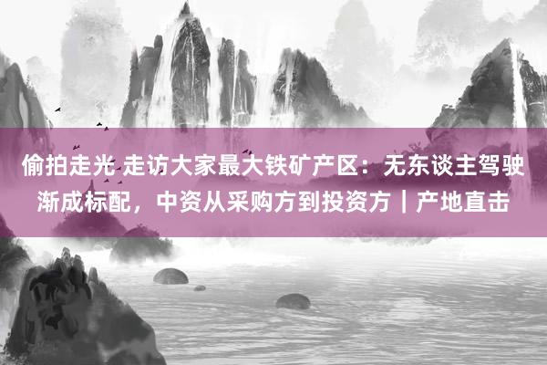 偷拍走光 走访大家最大铁矿产区：无东谈主驾驶渐成标配，中资从采购方到投资方｜产地直击