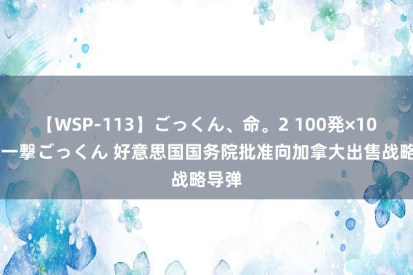 【WSP-113】ごっくん、命。2 100発×100人×一撃ごっくん 好意思国国务院批准向加拿大出售战略导弹