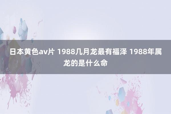 日本黄色av片 1988几月龙最有福泽 1988年属龙的是什么命