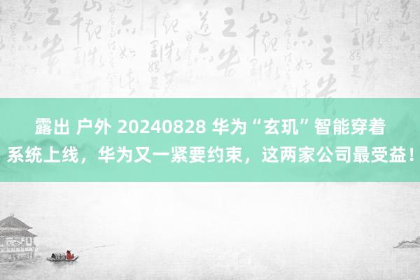 露出 户外 20240828 华为“玄玑”智能穿着系统上线，华为又一紧要约束，这两家公司最受益！