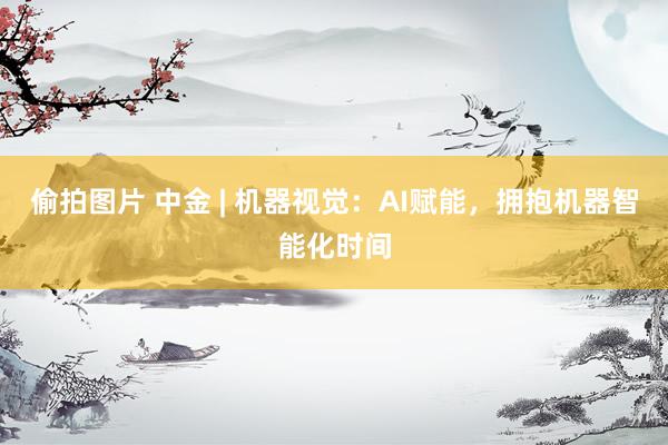 偷拍图片 中金 | 机器视觉：AI赋能，拥抱机器智能化时间