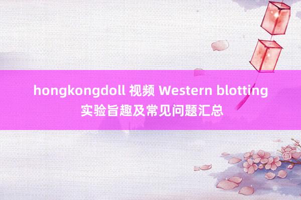 hongkongdoll 视频 Western blotting 实验旨趣及常见问题汇总