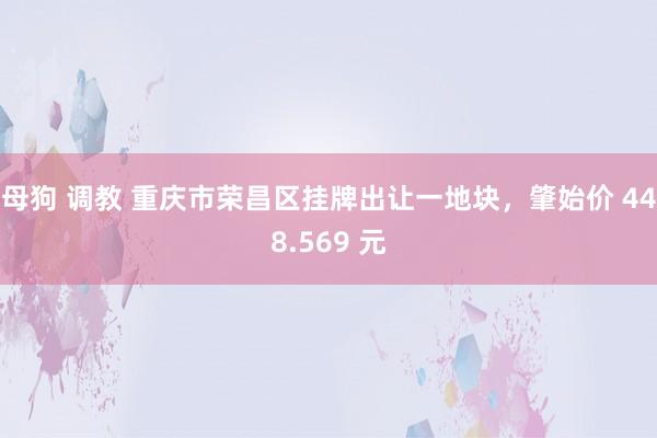 母狗 调教 重庆市荣昌区挂牌出让一地块，肇始价 448.569 元