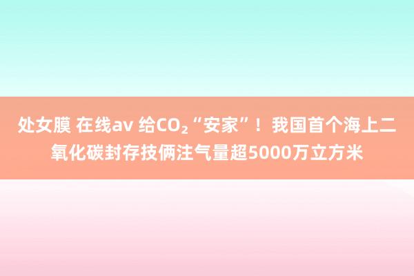 处女膜 在线av 给CO₂“安家”！我国首个海上二氧化碳封存技俩注气量超5000万立方米