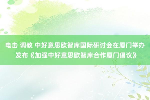 电击 调教 中好意思欧智库国际研讨会在厦门举办 发布《加强中好意思欧智库合作厦门倡议》