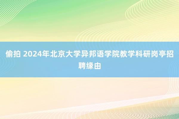 偷拍 2024年北京大学异邦语学院教学科研岗亭招聘缘由